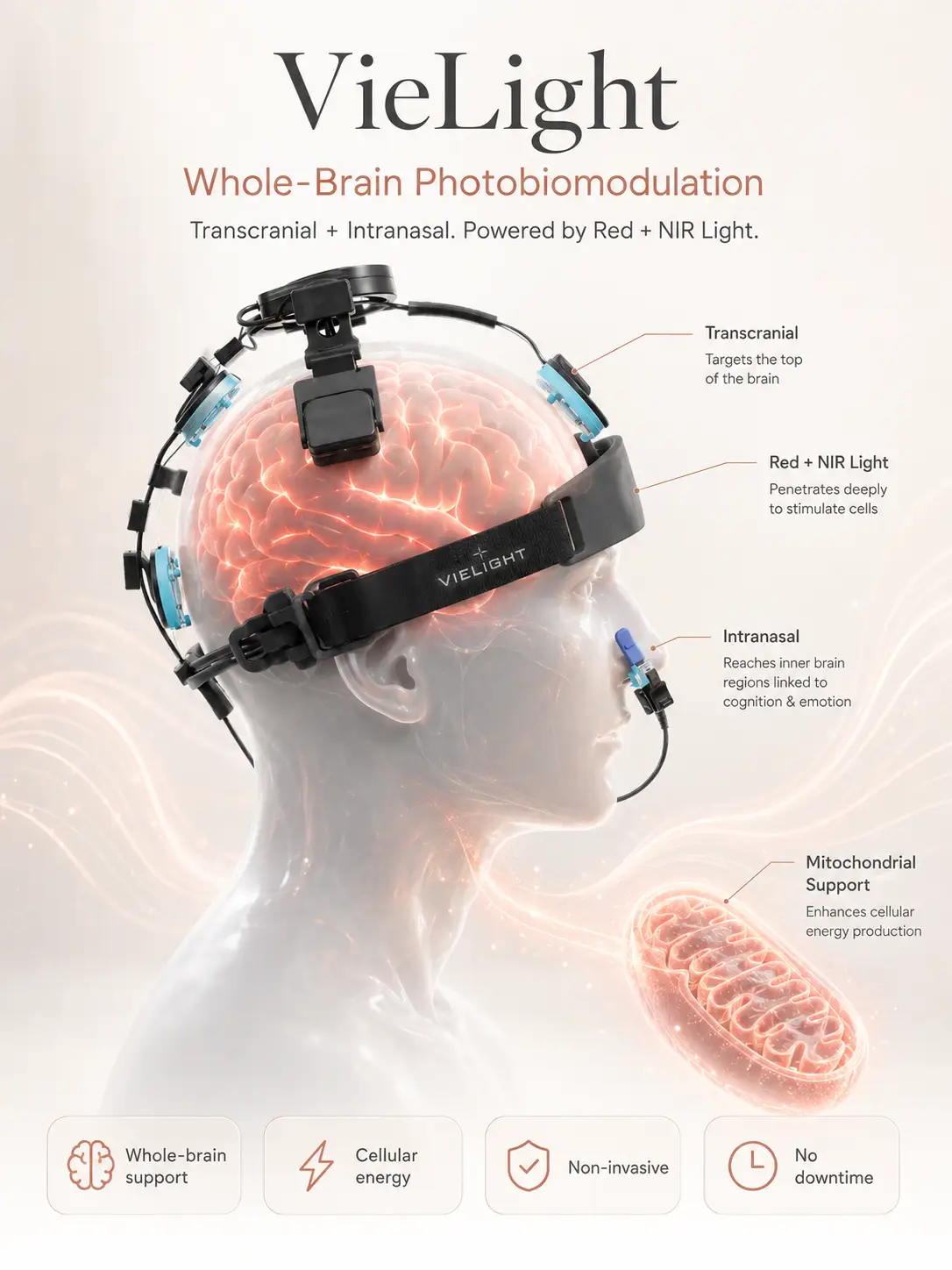 VieLight photobiomodulation device showing transcranial and intranasal red and near-infrared light delivery